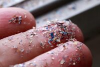 1761370534648-microplastic-1755266179085_169
