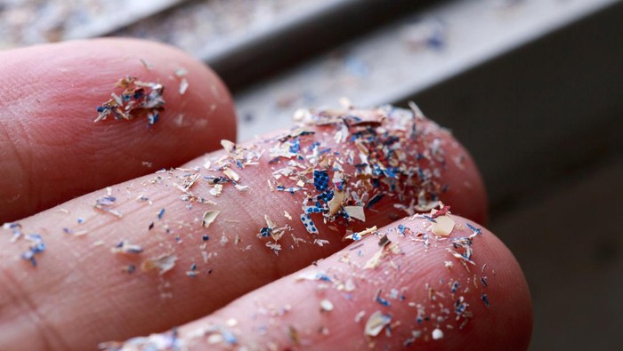 1761370534648-microplastic-1755266179085_169
