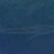 1761392094599-viral-di-media-sosial-kemunculan-paus-biru-sepanjang-20-meter-di-laut-teluk-tomini-1761278158023_43