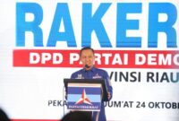 1761392127230-rakerda-demokrat-riau-foto-dok-partai-demokrat-riau-1761376193375_169