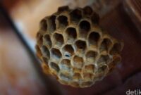 1761500370048-97ca06a4-d765-48ae-8b77-57985db99d86_169