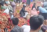 1761565390610-warga-tengah-memungut-bawang-bombai-yang-di-buang-di-kawasan-tanjung-sengkuang-batu-ampar-batam-dok-tangkapan-layar-1761540496474_169