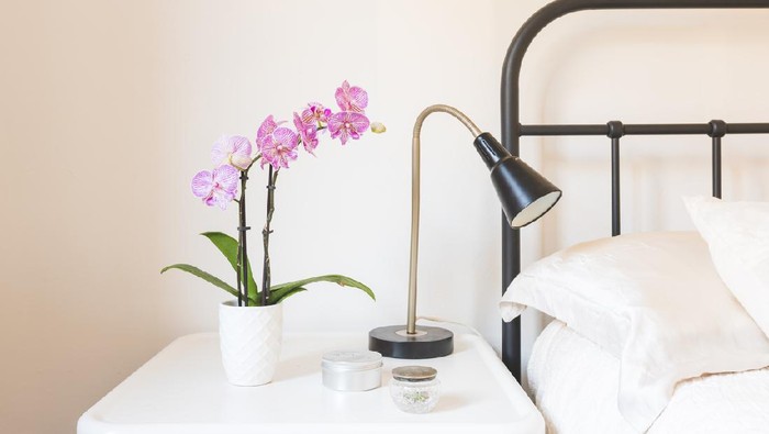 1761716920001-tanaman-di-kamar-tidur_169