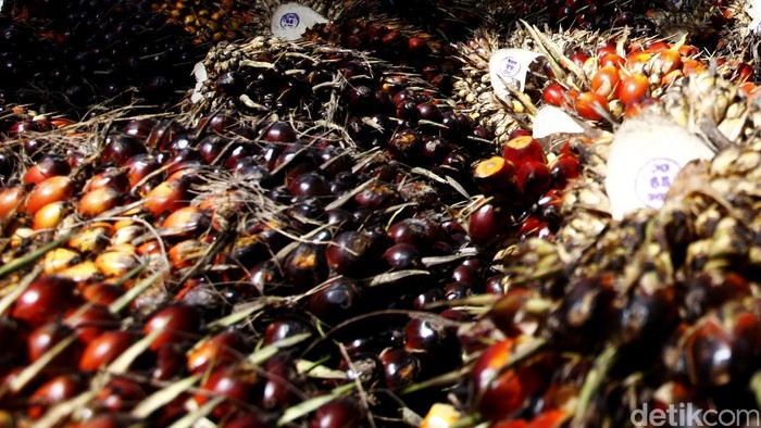 1761759586315-eb87a4c1-c268-497d-9ea6-64211c2a3989_169