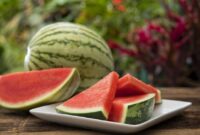 1761780204243-ilustrasi-buah-semangka_169