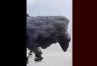 1761802982386-gumpalan-hitam-yang-terbang-di-langit-subang-1761738875770_169