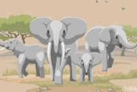 1761803008889-6ccdd139-02be-4e51-a42a-9588f2930966_169