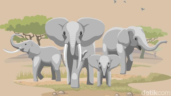 1761803008889-6ccdd139-02be-4e51-a42a-9588f2930966_169