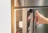 1761803175473-belum-banyak-orang-tahu-simak-5-fakta-penting-dari-kulkas-ini-1_169