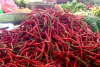 1761846262257-cabai-merah-di-pasar-petisah-medan-siti-alya-zikriena-poetridetiksumut_169