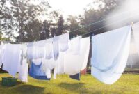 1761889818175-fa965938-3353-4702-b52f-8b01745e421e_169