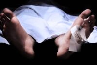 1761932374395-ilustrasi-orang-meninggal_169