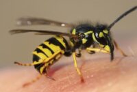 1762018317190-c0f1a71d-afdc-4c69-b3d9-397d07d3abca_169