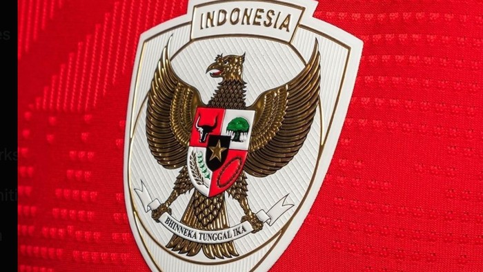 1762298587278-timnas-indonesia_169