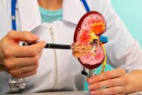 1762321465018-ilustrasi-ginjal_169