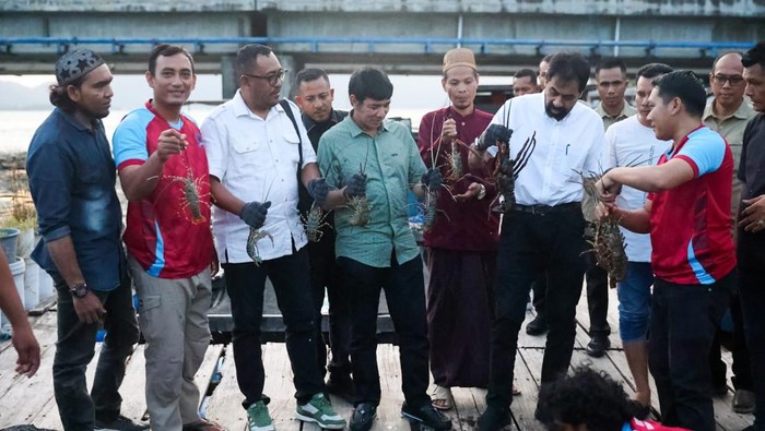 1762364364753-lobster-hasil-budidaya-koperasi-nelayan-di-banda-aceh-kini-dilirik-pecinta-seafood-di-jakarta-hingga-bali-dok-pemerintah-aceh-1762348530251_169