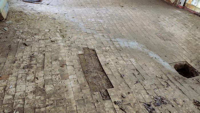 1762407994259-1692752799_169