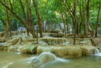 1762471335667-air-terjun-wang-sai-1762404207964_169