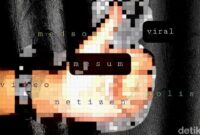 1762515757404-gambar-ilustrasi-soal-video-viral-nan-mesum-danu-damarjatidetikcom_169