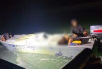 1762602071826-speedboat-bawa-168-ribu-batang-rokok-ilegal-ditangkap-bea-cukai-batam-dok-bea-cukai-batam-1762577085215_169