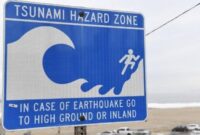 1762688459970-files-us-russia-japan-earthquake-tsunami-1753843530954_169