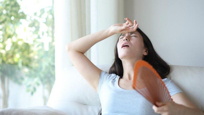 1763162529668-ilustrasi-hot-flashes-1750238827903_169