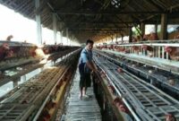 1763293032308-13ee7b16-a77f-4a8f-986c-57e2efe3d024_169