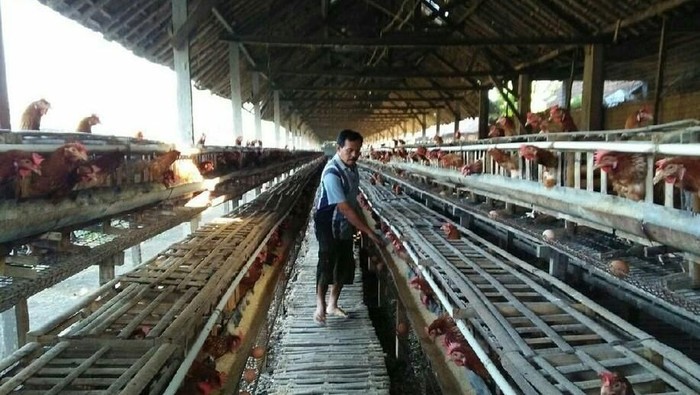 1763293032308-13ee7b16-a77f-4a8f-986c-57e2efe3d024_169