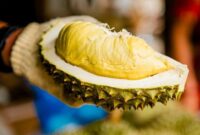 1763401181735-tak-bisa-dibawa-ke-pesawat-keluarga-ini-nekat-habiskan-55-kg-durian-1758271703144_169