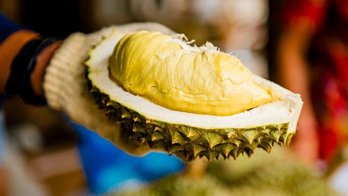 1763401181735-tak-bisa-dibawa-ke-pesawat-keluarga-ini-nekat-habiskan-55-kg-durian-1758271703144_169
