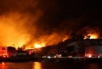 1763571961370-kebakaran-hebat-luluhlantakkan-ratusan-bangunan-di-oita-jepang-1763526489937_43