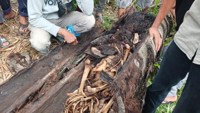 1763571963995-kerangka-manusia-ditemukan-di-pohon-1757514425480_169