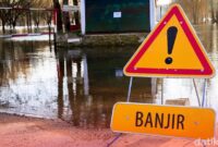 1764068783315-66e4dd89-c4f6-4a91-9f82-f5065a953e29_169