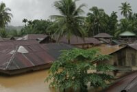 1764155181314-banjir-yang-merendam-empat-desa-di-kecamatan-batang-gadis-mandailing-nata-madina-sumatera-utara-dokistimewa-1764065670327_169