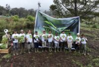 1764435951566-penanaman-pohon-1764423117307_169