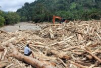 1764479129114-sampah-kayu-gelondongan-banjir-bandang-di-tapanuli-selatan-1764423757060_169