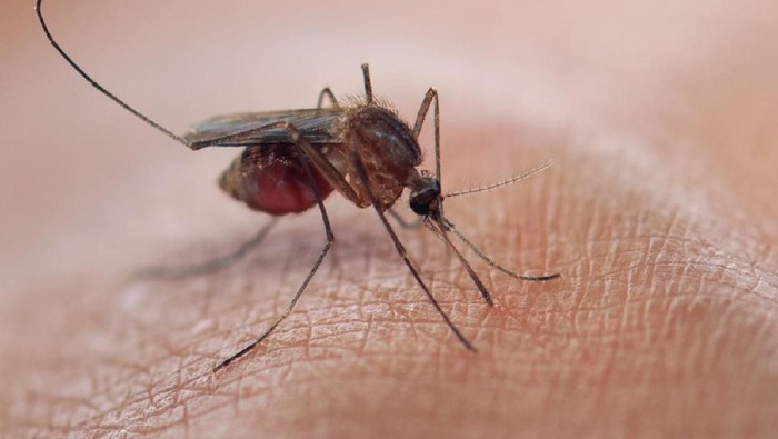 1764565680615-737d989a-9dd9-4df2-9fc6-fe1fa792d349_169