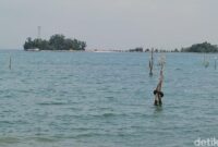 1764587201031-ilustrasi-wilayah-pesisir-di-provinsi-kepri_169