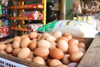 1764781629286-telur-ayam_169