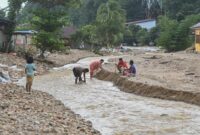 1765105583582-penampakan-sungai-aek-godang-mengalami-pendangkalan-usai-longsor-1765080587514_169