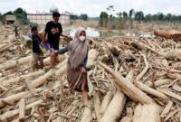 1765127146242-tumpukan-kayu-pascabanjir-bandang-putus-akses-ke-desa-tanjung-karang-aceh-tamiang-1765081980361_169