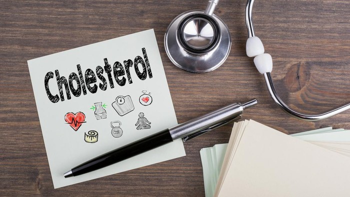 1765170387643-ilustrasi-kolesterol_169