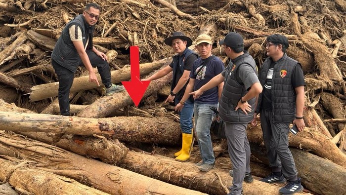 1765235079088-bareskrim-ambil-27-sampel-kayu-di-tapanuli-selatan-1765201862441_169