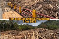1765235079564-bareskrim-olah-tkp-banjir-yang-bawa-gelondongan-kayu-di-garoga-sumut-1765203498444