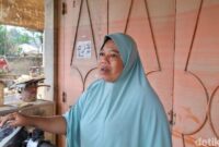 1765343198535-rini-saat-ditemui-di-depan-rumahnya-di-dusun-tualang-desa-sungai-liput-kecamatan-kejuruan-muda-kabupaten-aceh-tamiang-foto-niz-1765304157958_169