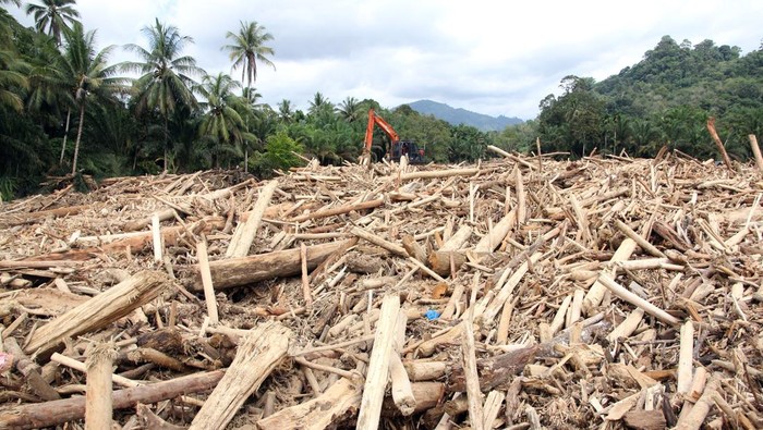 1765364760232-sampah-kayu-gelondongan-banjir-bandang-di-tapanuli-selatan-1764423757188_169