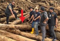 1765364765548-bareskrim-ambil-27-sampel-kayu-di-tapanuli-selatan-1765201862441_169