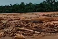 1765386356727-gelondongan-kayu-terbawa-arus-sungai-saat-banjir-di-sibolga-tapteng-tangkapan-layar-media-sosial-1764247927745_169