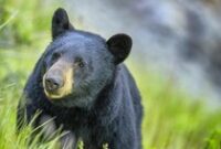 1765386358097-b40ff691-c696-4737-94a4-0e0c8c30dccd_43