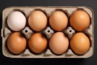 1765429629772-ilustrasi-telur-ayam_169